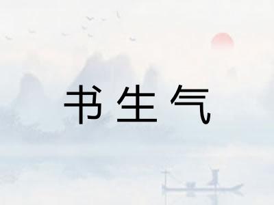 书生气