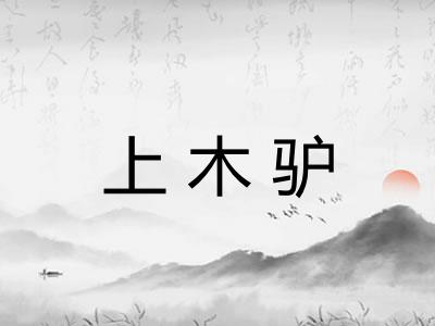上木驴