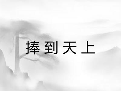 捧到天上