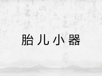 胎儿小器