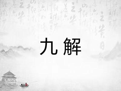 九解