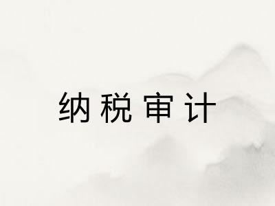 纳税审计 纳税审计