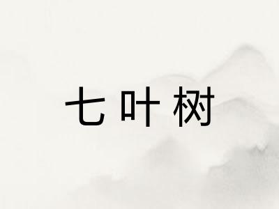 七叶树