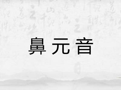 鼻元音 鼻元音