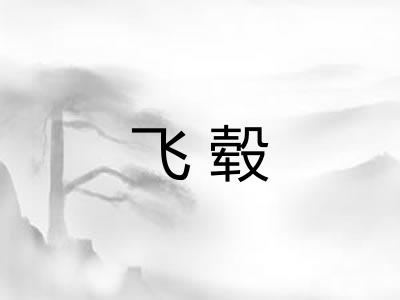 飞毂 飞毂