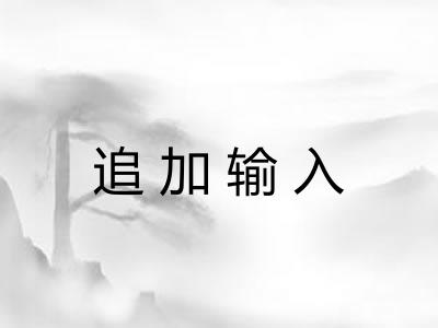 追加输入