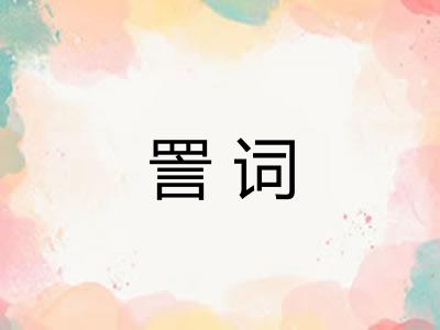 詈词