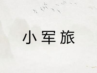 小军旅