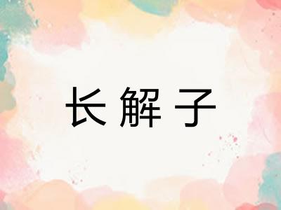 长解子 长解子