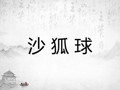 沙狐球