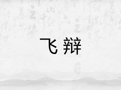 飞辩
