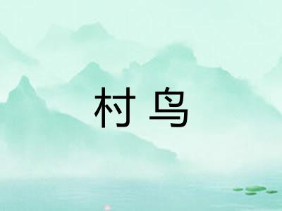 村鸟