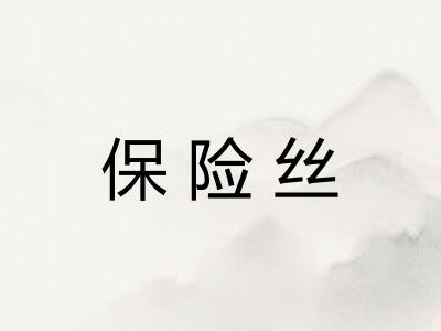 保险丝