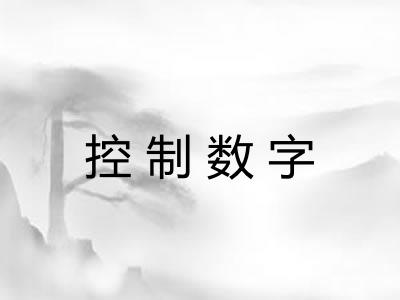 控制数字 控制数字
