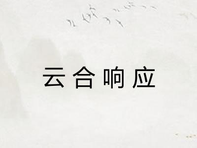 云合响应