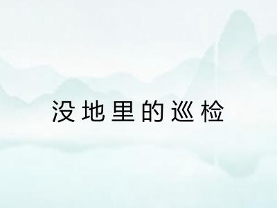 没地里的巡检