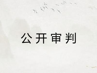 公开审判