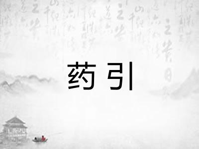 药引