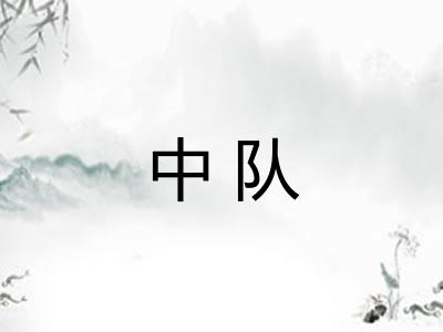 中队 中队