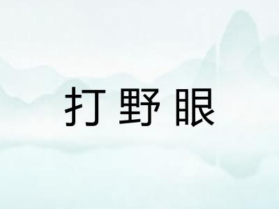 打野眼