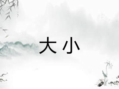 大小