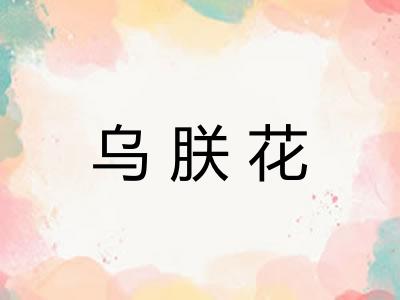 乌朕花