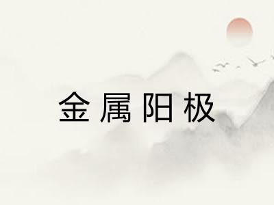 金属阳极 金属阳极