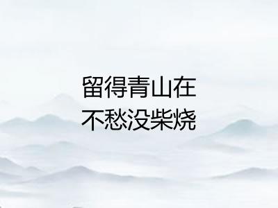 留得青山在不愁没柴烧