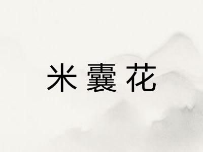 米囊花