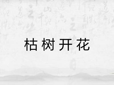 枯树开花