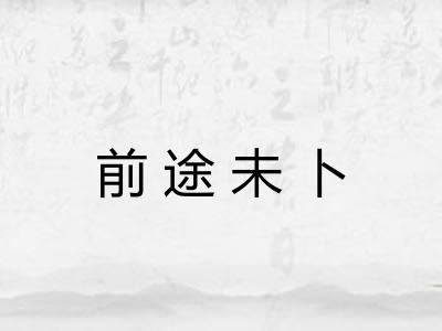 前途未卜 前途未卜