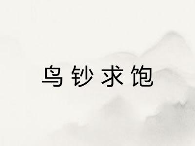 鸟钞求饱