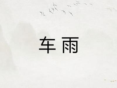 车雨