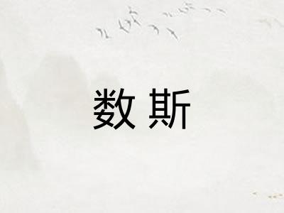 数斯 数斯