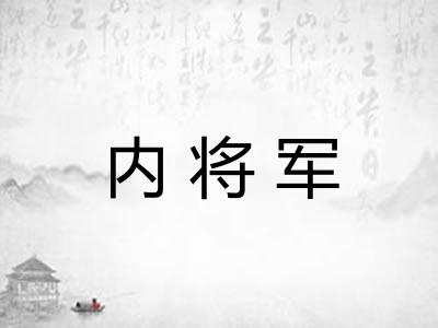 内将军