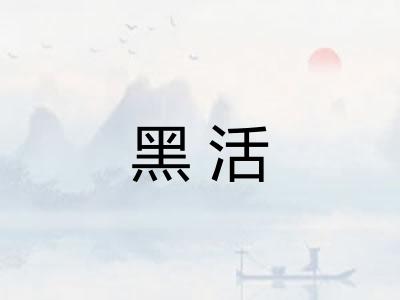 黑活
