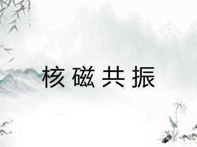 核磁共振 核磁共振