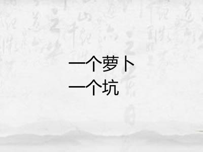 一个萝卜一个坑