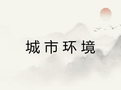 城市环境