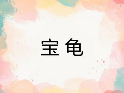 宝龟 宝龟
