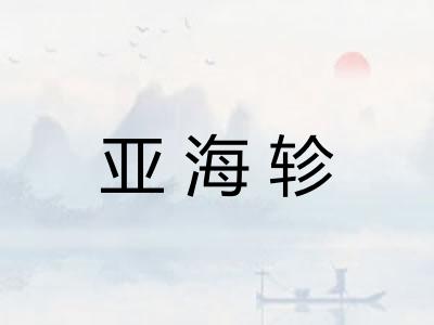 亚海轸
