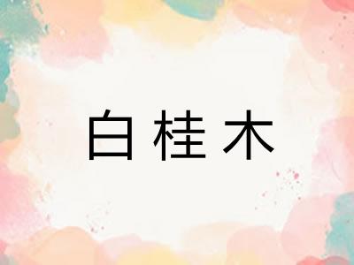 白桂木 白桂木