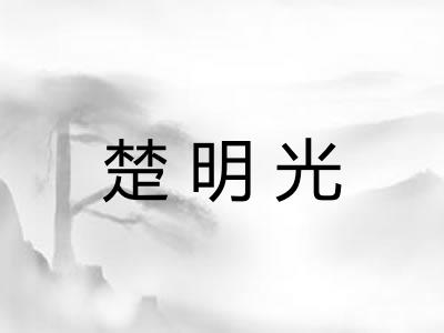 楚明光