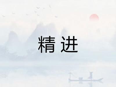 精进 精进