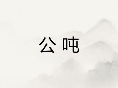 公吨 公吨