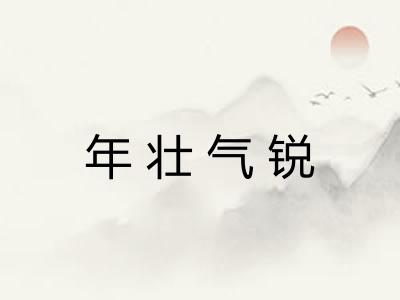 年壮气锐