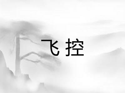 飞控