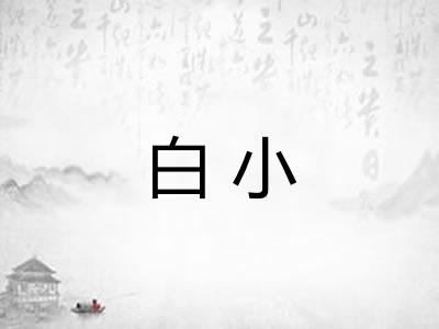 白小