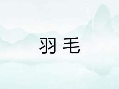 羽毛 羽毛
