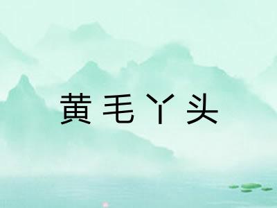 黄毛丫头
